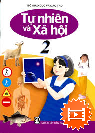 Tìm hiểu cơ quan hô hấp